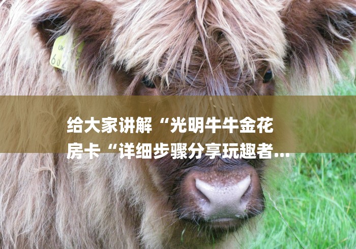 给大家讲解“光明牛牛金花
房卡“详细步骤分享玩趣者...