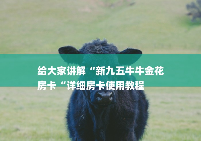 给大家讲解“新九五牛牛金花
房卡“详细房卡使用教程