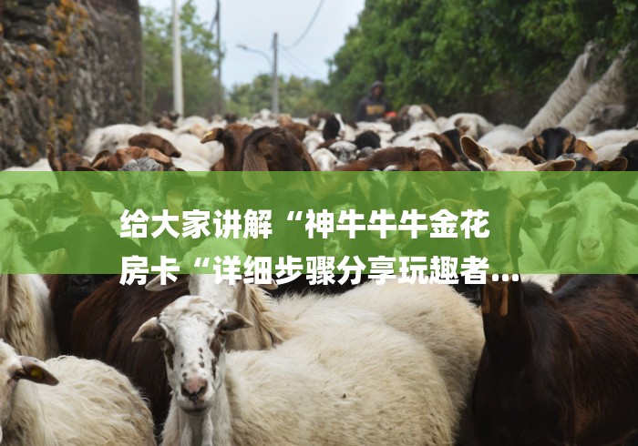 给大家讲解“神牛牛牛金花
房卡“详细步骤分享玩趣者...