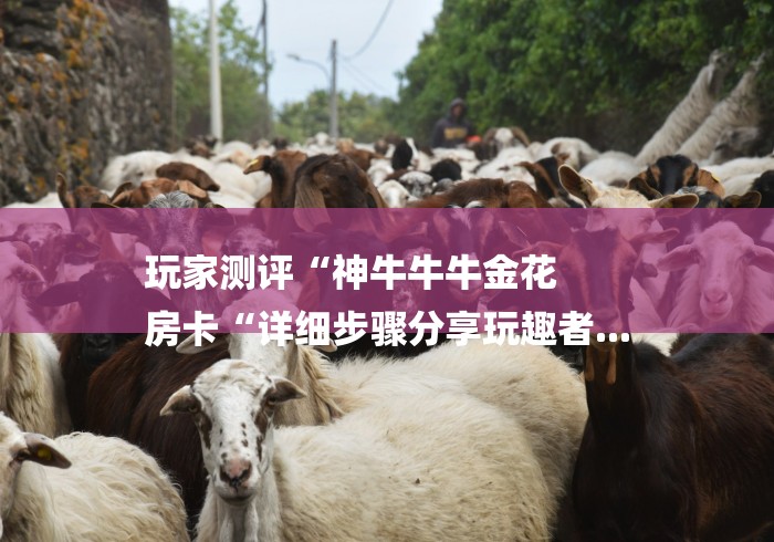 玩家测评“神牛牛牛金花
房卡“详细步骤分享玩趣者...