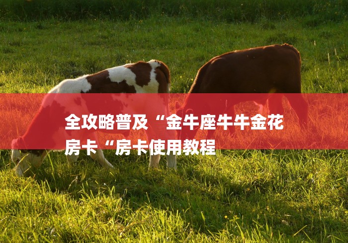 全攻略普及“金牛座牛牛金花
房卡“房卡使用教程