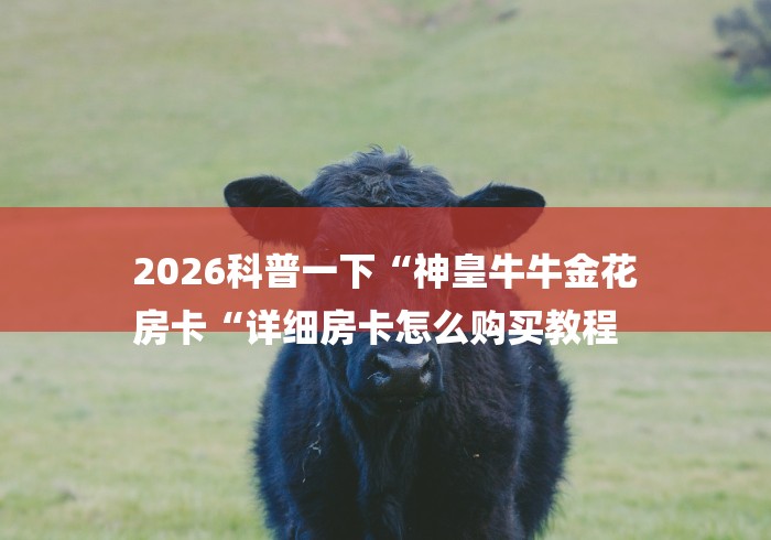 2026科普一下“神皇牛牛金花
房卡“详细房卡怎么购买教程