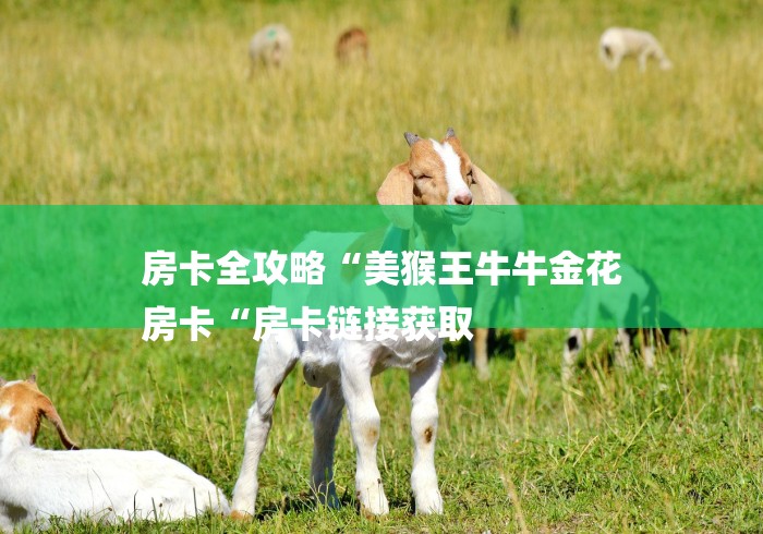 房卡全攻略“美猴王牛牛金花
房卡“房卡链接获取 房卡全攻略“美猴王牛牛金花
房卡“房卡链接获取