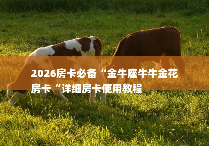 2026房卡必备“金牛座牛牛金花
房卡“详细房卡使用教程