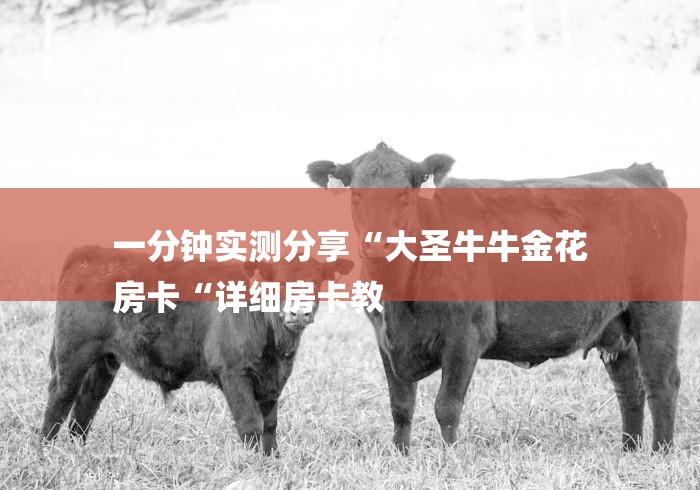 一分钟实测分享“大圣牛牛金花
房卡“详细房卡教