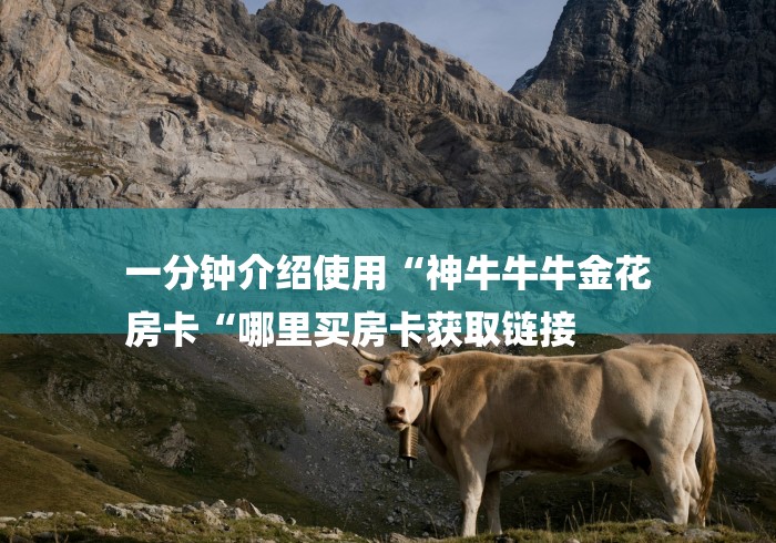 一分钟介绍使用“神牛牛牛金花
房卡“哪里买房卡获取链接 一分钟介绍使用“神牛牛牛金花
房卡“哪里买房卡获取链接