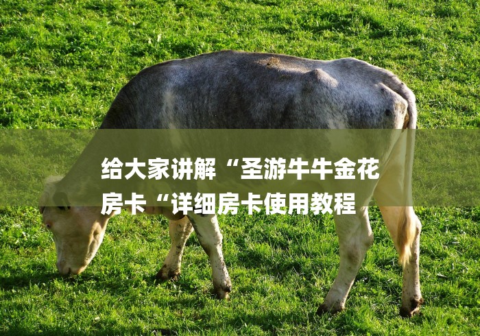 给大家讲解“圣游牛牛金花
房卡“详细房卡使用教程 给大家讲解“圣游牛牛金花
房卡“详细房卡使用教程