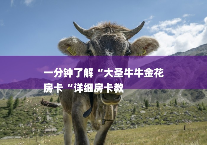 一分钟了解“大圣牛牛金花
房卡“详细房卡教 一分钟了解“大圣牛牛金花
房卡“详细房卡教