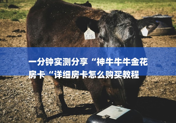 一分钟实测分享“神牛牛牛金花
房卡“详细房卡怎么购买教程