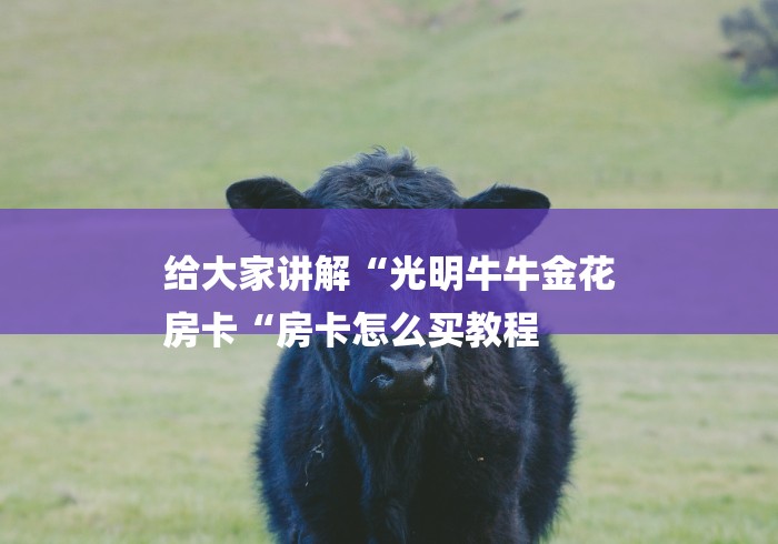 给大家讲解“光明牛牛金花
房卡“房卡怎么买教程 给大家讲解“光明牛牛金花
房卡“房卡怎么买教程