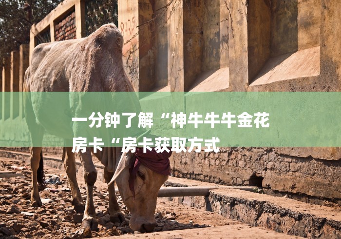 一分钟了解“神牛牛牛金花
房卡“房卡获取方式 