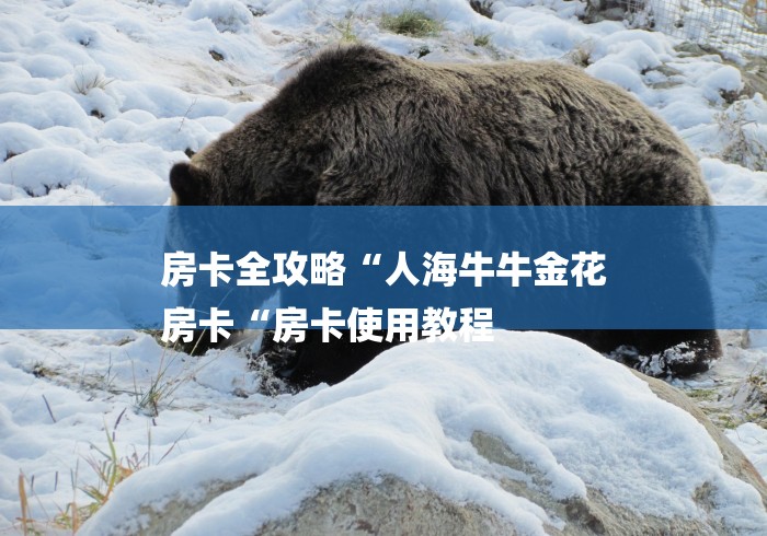 房卡全攻略“人海牛牛金花
房卡“房卡使用教程 房卡全攻略“人海牛牛金花
房卡“房卡使用教程